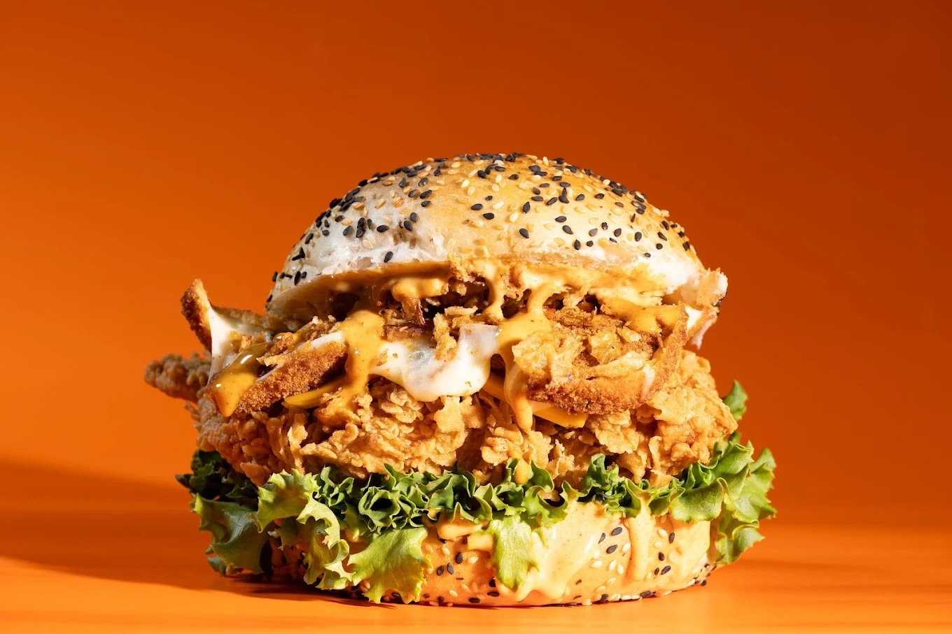 Astro Poulet image 4